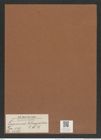 Terpsinoë tetragramma L. W. B. (de-Toni-Nr.: Genus 130, Species 3587) Zeichnungen Sammlung Grunow Mappe 03748 (Herbarium_W_Grunow_drawings_Folder_03748)